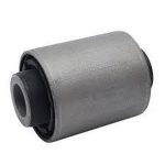 بوش سگ دست عقب